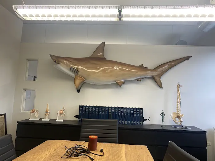 Sharks At Law 5
