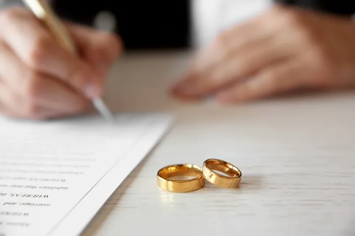 Merel Family Law: Chicago Divorce & Family Lawyers 5