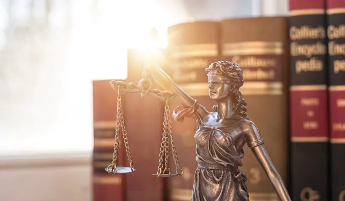 Collins Disability Law 4
