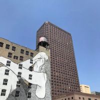 Gonazles & Gonzales Bonds and Insurance Agency, Inc. ico