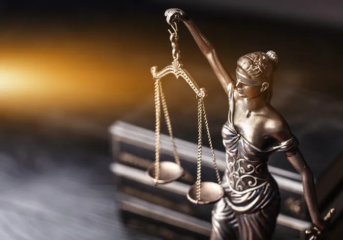 D&O Law Group, LLC 4