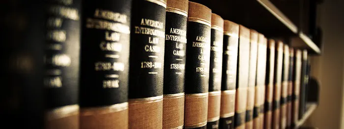 The Law Offices of David L. Salgado, P.C. 5