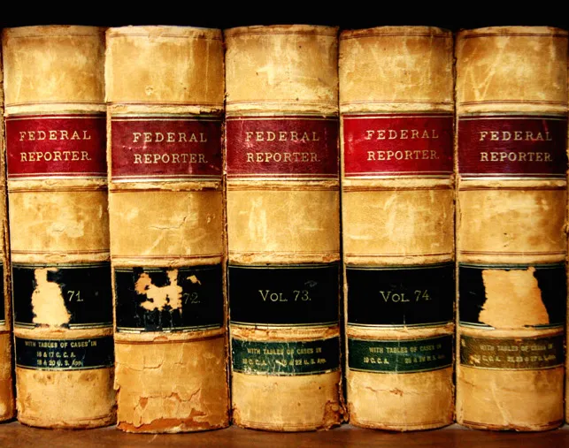 The Law Offices of David L. Salgado, P.C. 5
