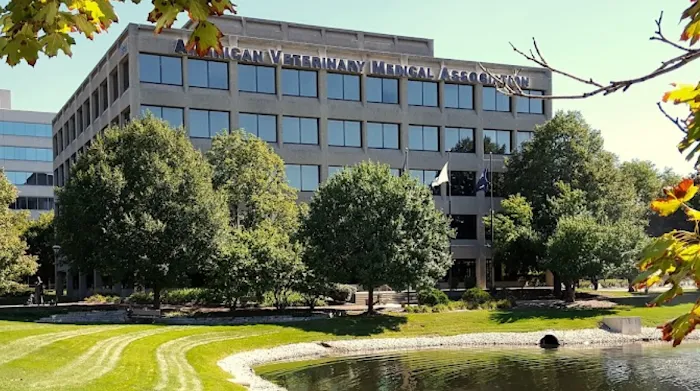 Francis Law Center - Immigration Lawyer/ Abogados de Inmigración Jae Francis 4