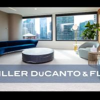 Schiller, Ducanto and Fleck ico