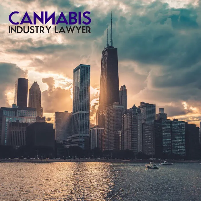 Cannabis Industry Lawyer | Howard Law Group 5