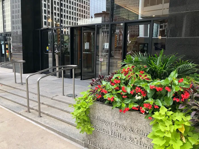 Windy City Legal, LLC 5