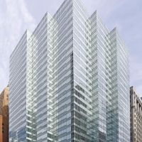 Hays Firm ico
