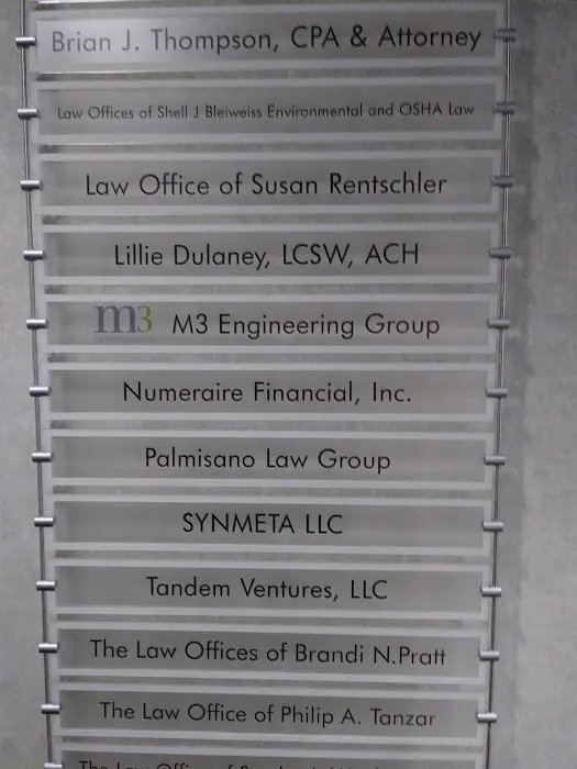 Brian J. Thompson, CPA and Attorney 5