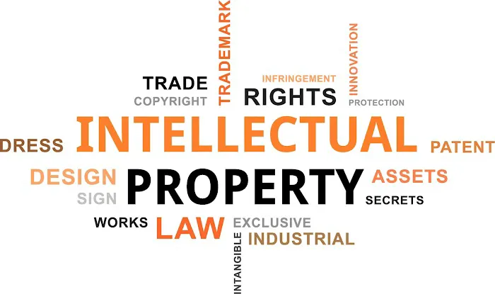 Chicago IP Law 5