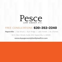 Pesce Law Group, P.C. ico