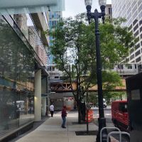 D'Arco Tax Resolution-Chicago, IL ico