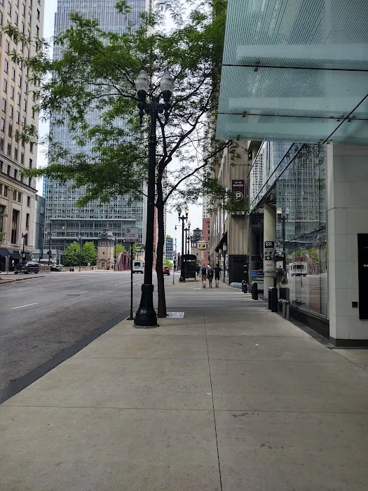 D'Arco Tax Resolution-Chicago, IL 5