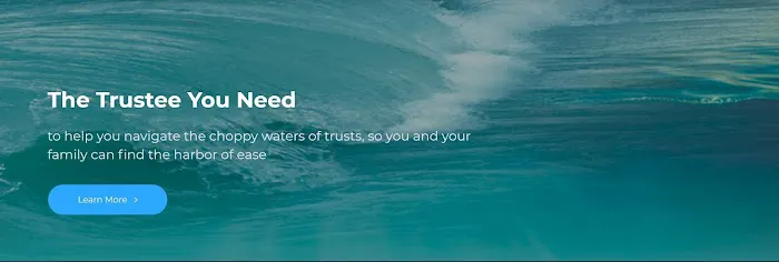 The Professional Trustee 4