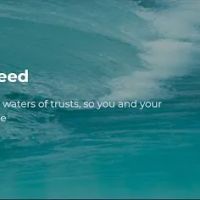 The Professional Trustee ico