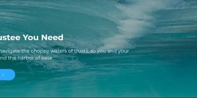 The Professional Trustee