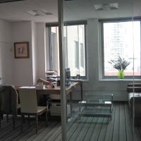 Zhang & Associates, P.C. ico