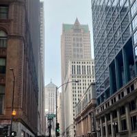 Witt Burton T & Associates ico