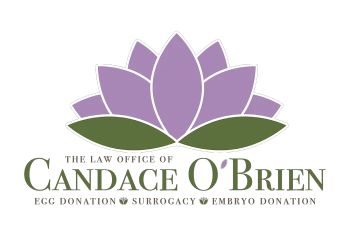 Law Office of Candace O'Brien 5