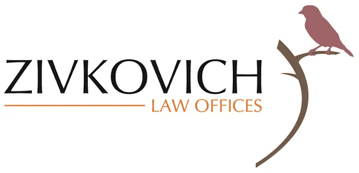 Dana Zivkovich / Lawyer 4