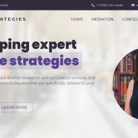 Divorce Strategies, LLC ico