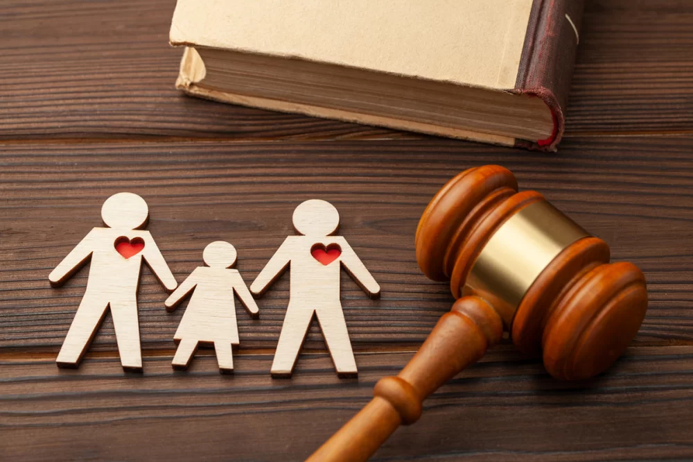 Adoption Law Explained: Understanding Legal Processes and Rights