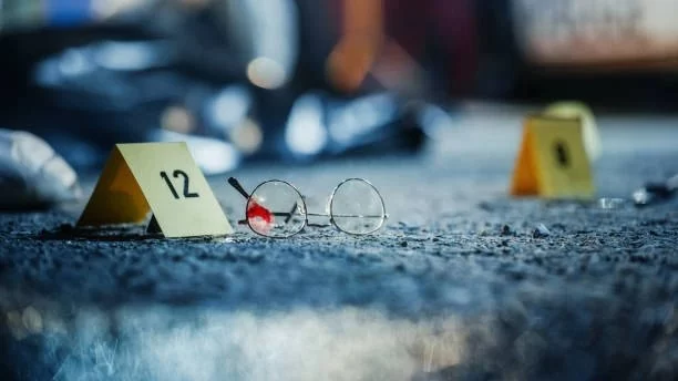 Murder vs. Manslaughter: Key Differences