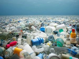 Plastic Waste Reduction Laws Driving Environmental Change