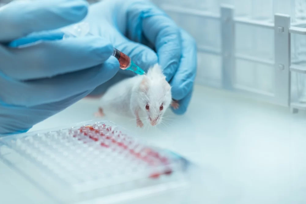 Animal Testing Ban Legislation: What It Means for Ethics, Industry, and Innovation