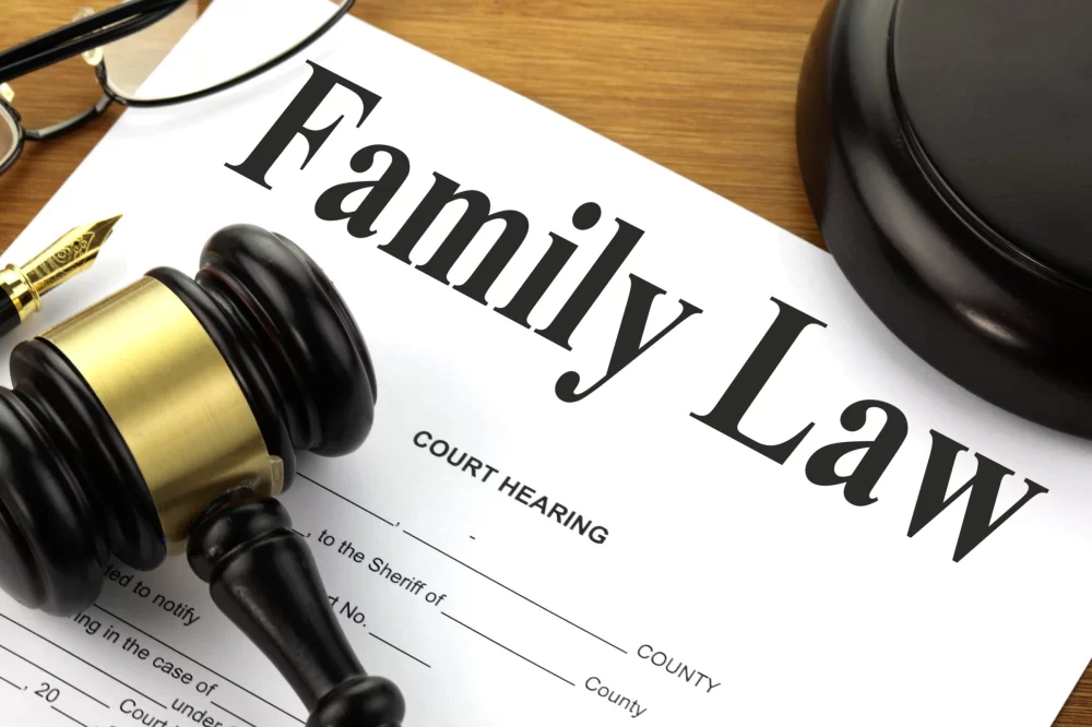 Family Law Application Template: How to Prepare and Use It Effectively