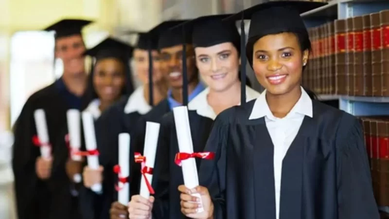 What Are the Best Colleges for Lawyers: Top Law Schools in the U.S.