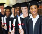 What Are the Best Colleges for Lawyers: Top Law Schools in the U.S.