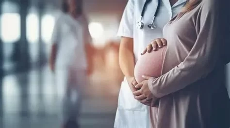 Legal Aspects of Surrogacy and IVF: What You Need to Know