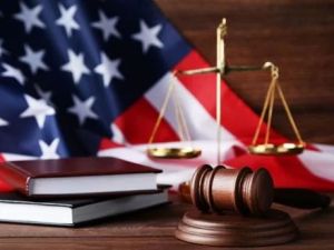 How Many U.S. Congressmen Are Lawyers? Exploring the Legal Influence in Politics