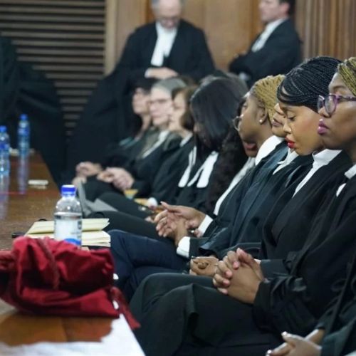 What Percentage of Lawyers Are Black Females? A Look at Representation in the Legal Field