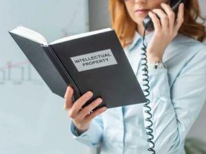 What Do IP Lawyers Do? Understanding Their Roles and Importance in Protecting Intellectual Property