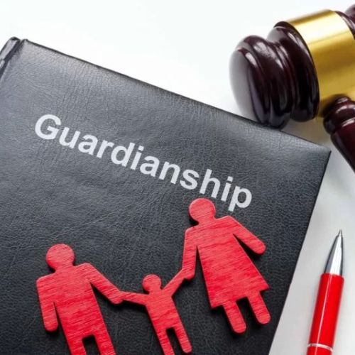 Understanding Legal Guardianship: Rights, Responsibilities, and How to Apply