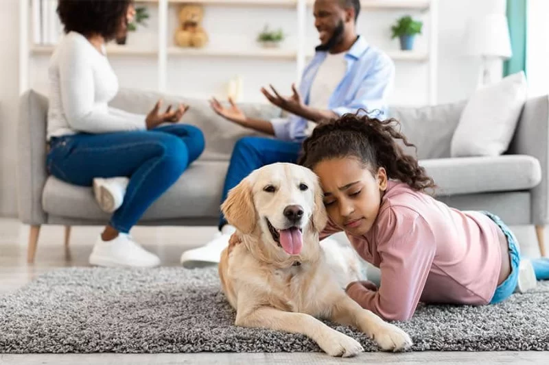 What Is a Pet Custody Agreement? Everything You Need to Know