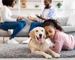 What Is a Pet Custody Agreement? Everything You Need to Know