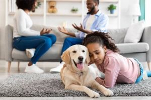 What Is a Pet Custody Agreement? Everything You Need to Know