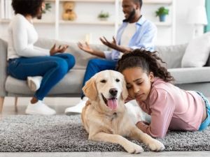 What Is a Pet Custody Agreement? Everything You Need to Know
