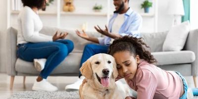 What Is a Pet Custody Agreement? Everything You Need to Know