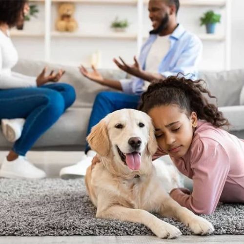 What Is a Pet Custody Agreement? Everything You Need to Know