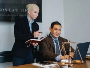 What Do Lawyers Do? Understanding the Role of Lawyers in Different Legal Areas